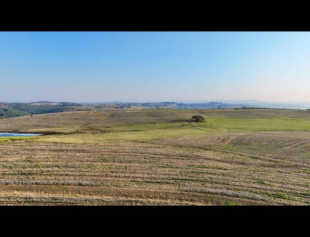 LAND FOR SALE IN MOUNT VERDE